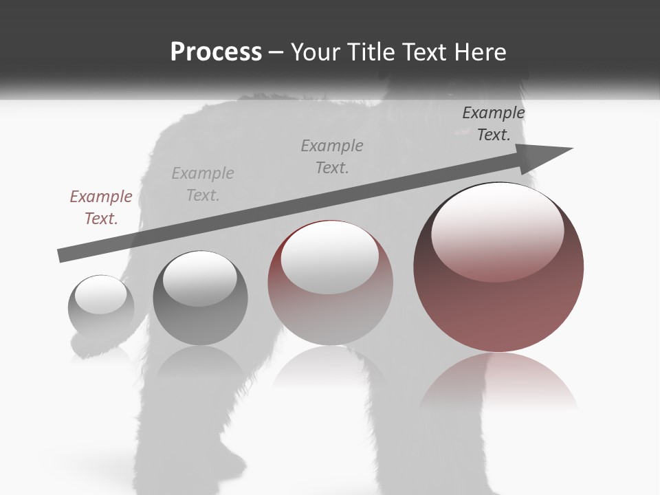 Ownership Loan Grass PowerPoint Template