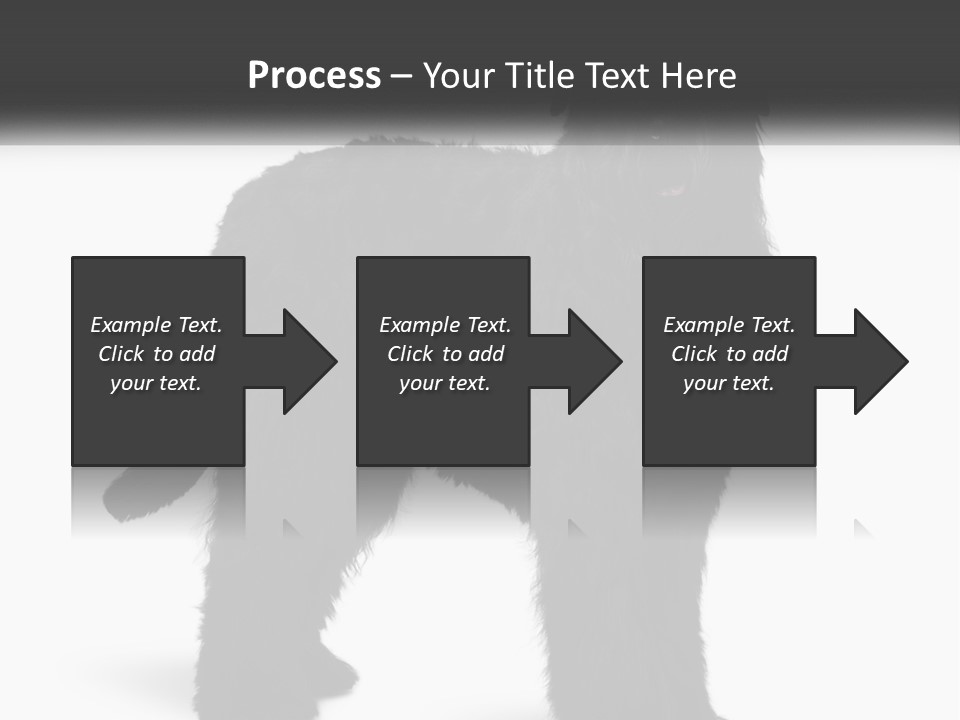 Ownership Loan Grass PowerPoint Template