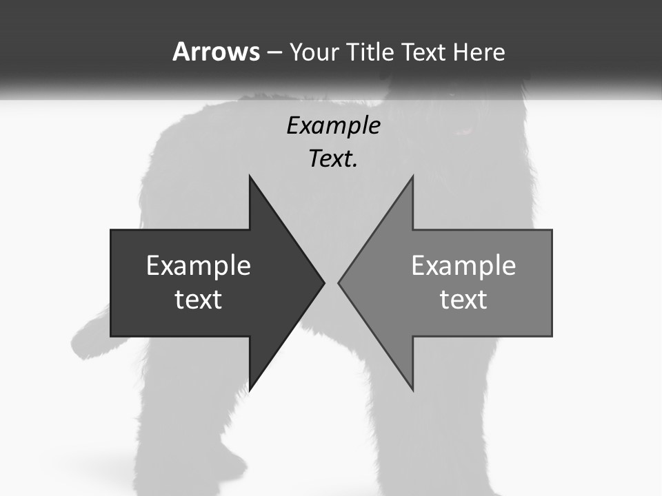 Ownership Loan Grass PowerPoint Template