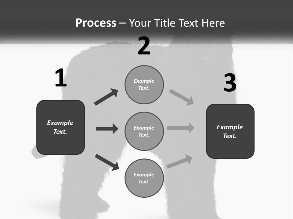 Ownership Loan Grass PowerPoint Template