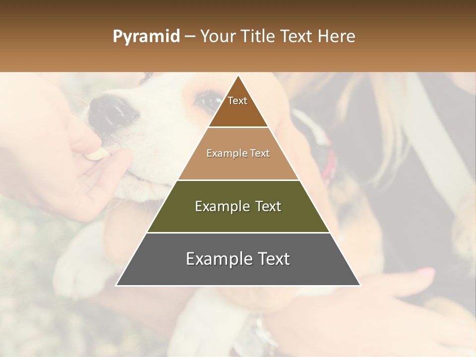 Blue Sky Man Sale PowerPoint Template