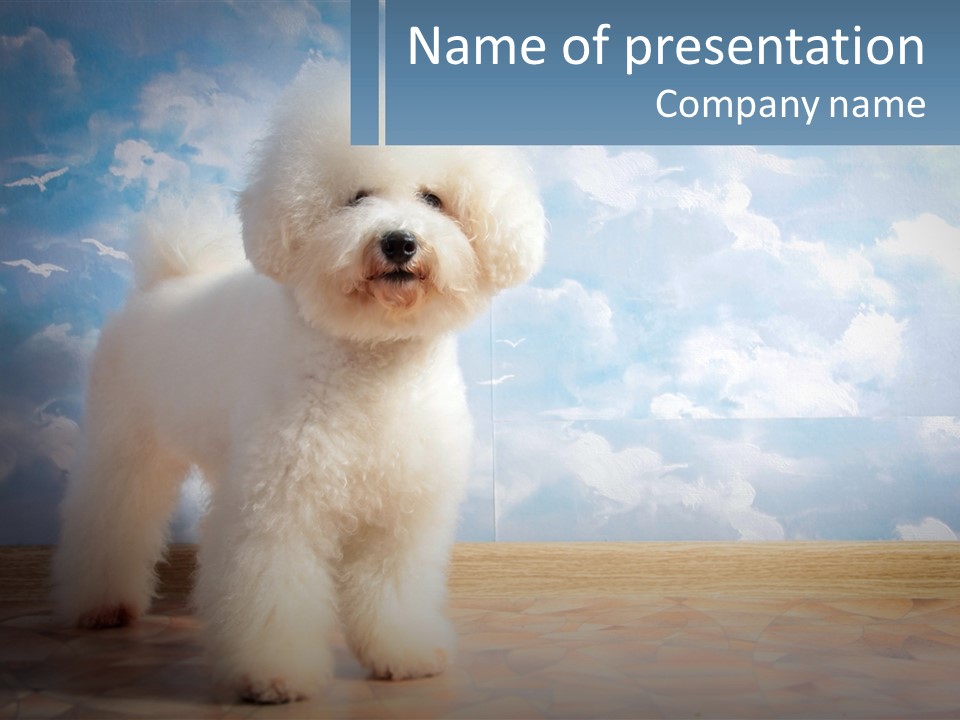 Cloud Architect Sale PowerPoint Template