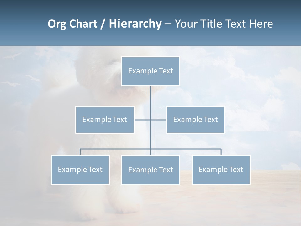 Cloud Architect Sale PowerPoint Template