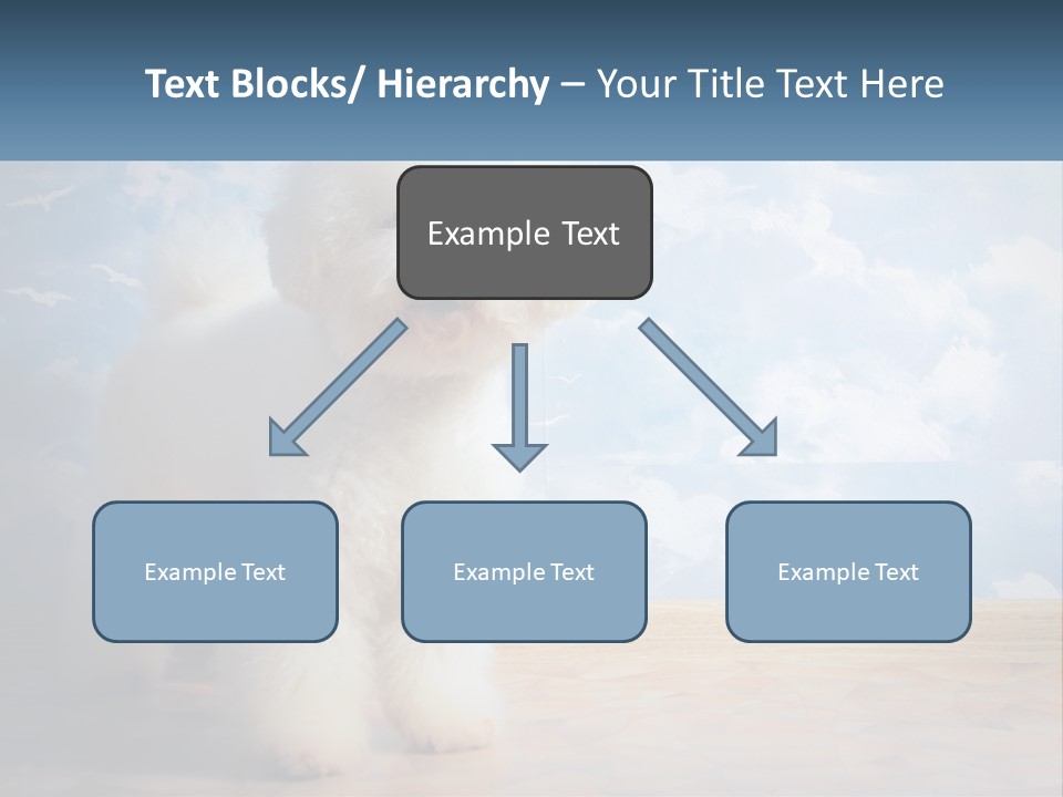 Cloud Architect Sale PowerPoint Template