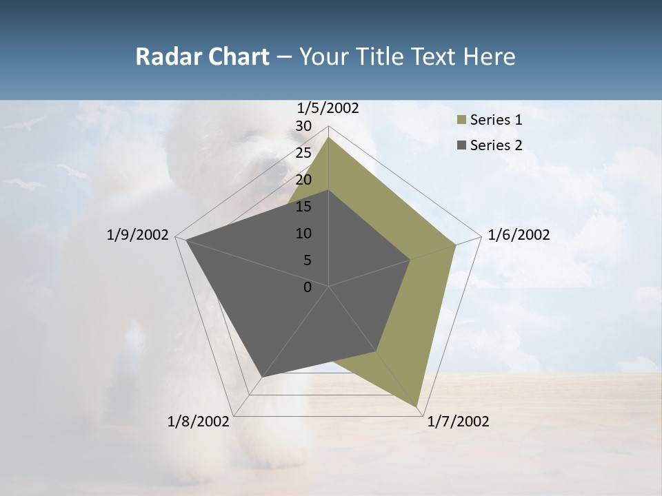 Cloud Architect Sale PowerPoint Template
