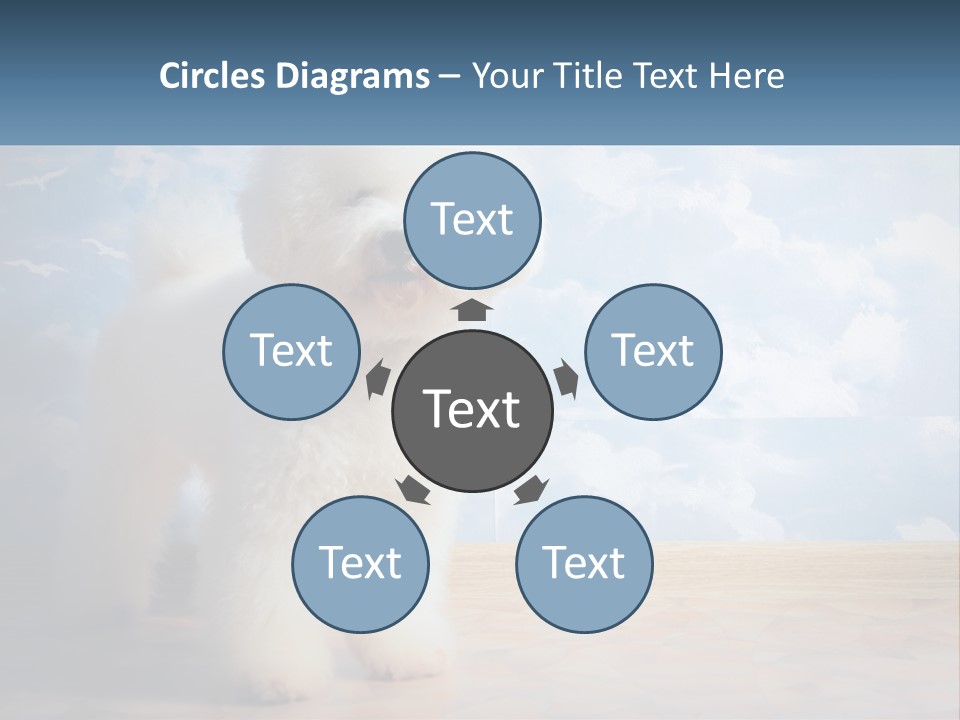 Cloud Architect Sale PowerPoint Template