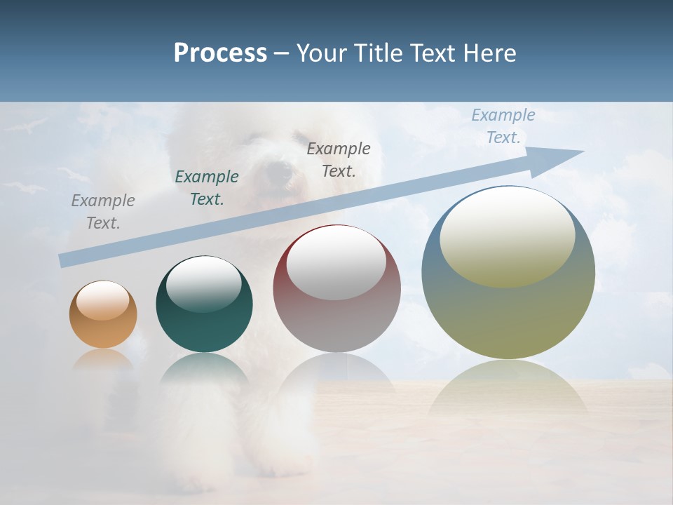 Cloud Architect Sale PowerPoint Template