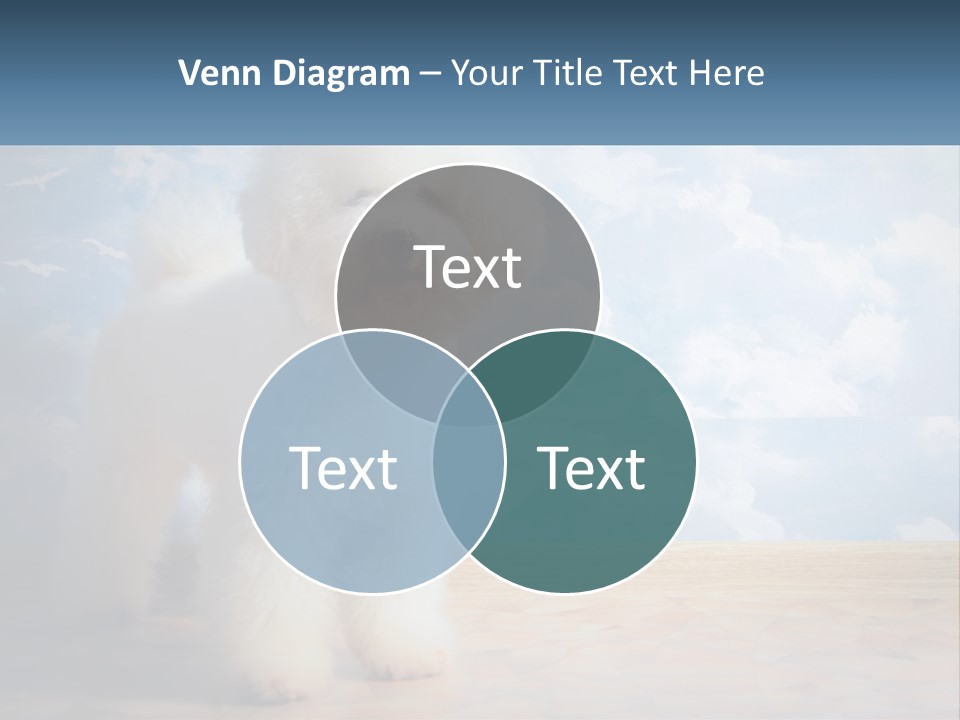 Cloud Architect Sale PowerPoint Template