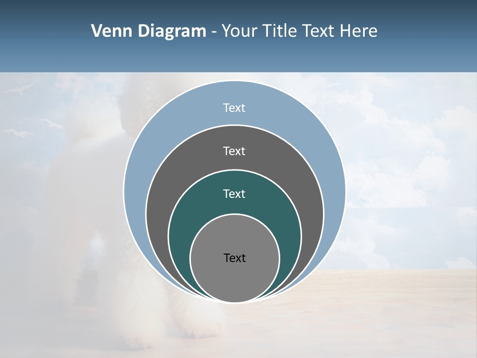 Cloud Architect Sale PowerPoint Template