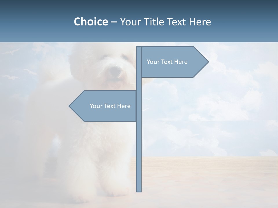 Cloud Architect Sale PowerPoint Template