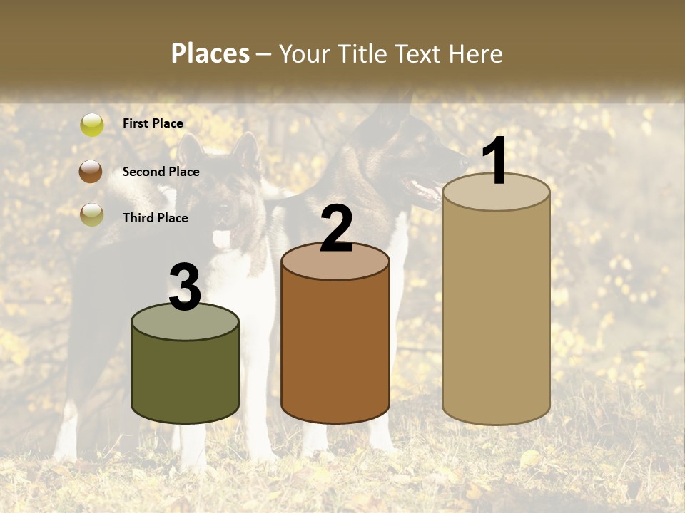 Architect Human Hand Conceptual PowerPoint Template