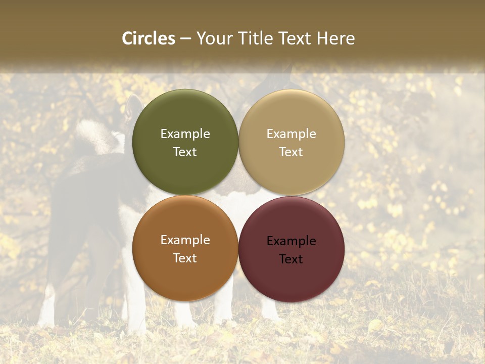 Architect Human Hand Conceptual PowerPoint Template