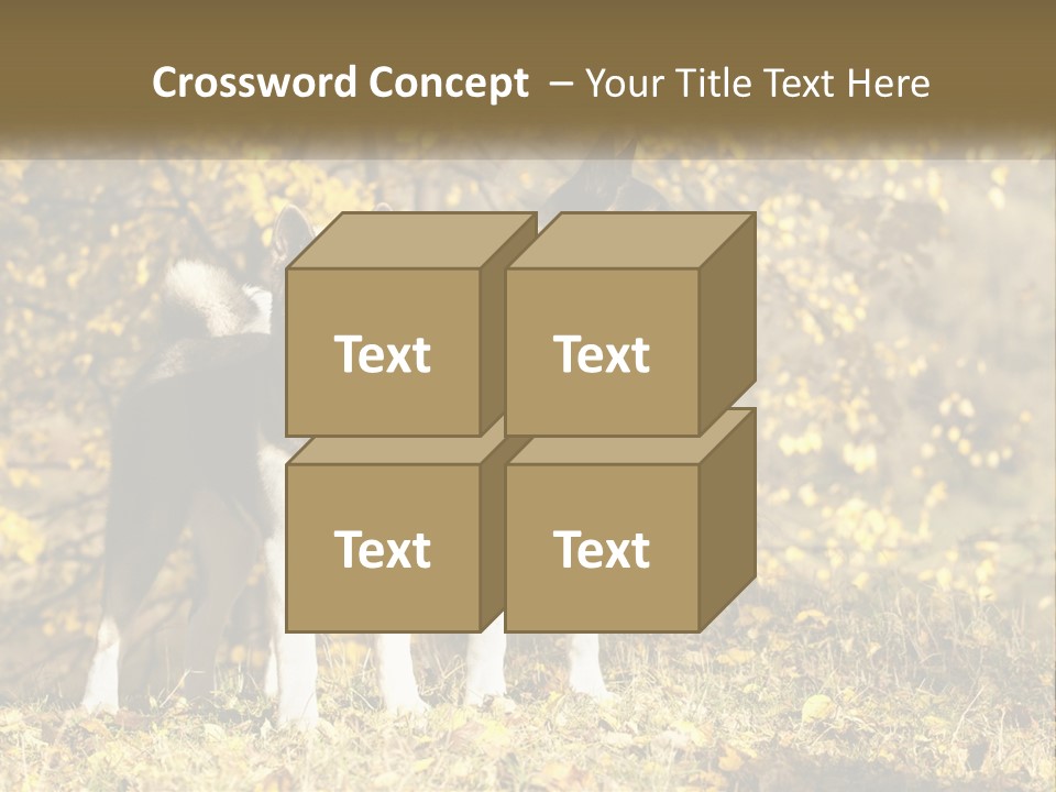 Architect Human Hand Conceptual PowerPoint Template
