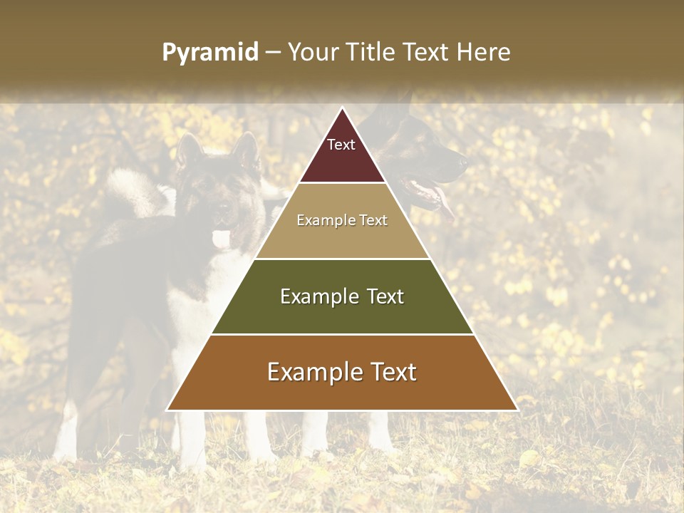 Architect Human Hand Conceptual PowerPoint Template