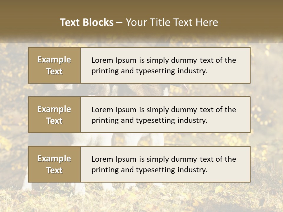 Architect Human Hand Conceptual PowerPoint Template