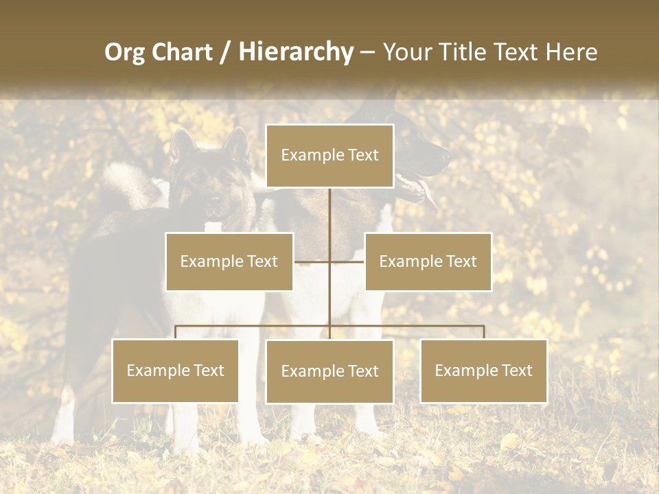 Architect Human Hand Conceptual PowerPoint Template