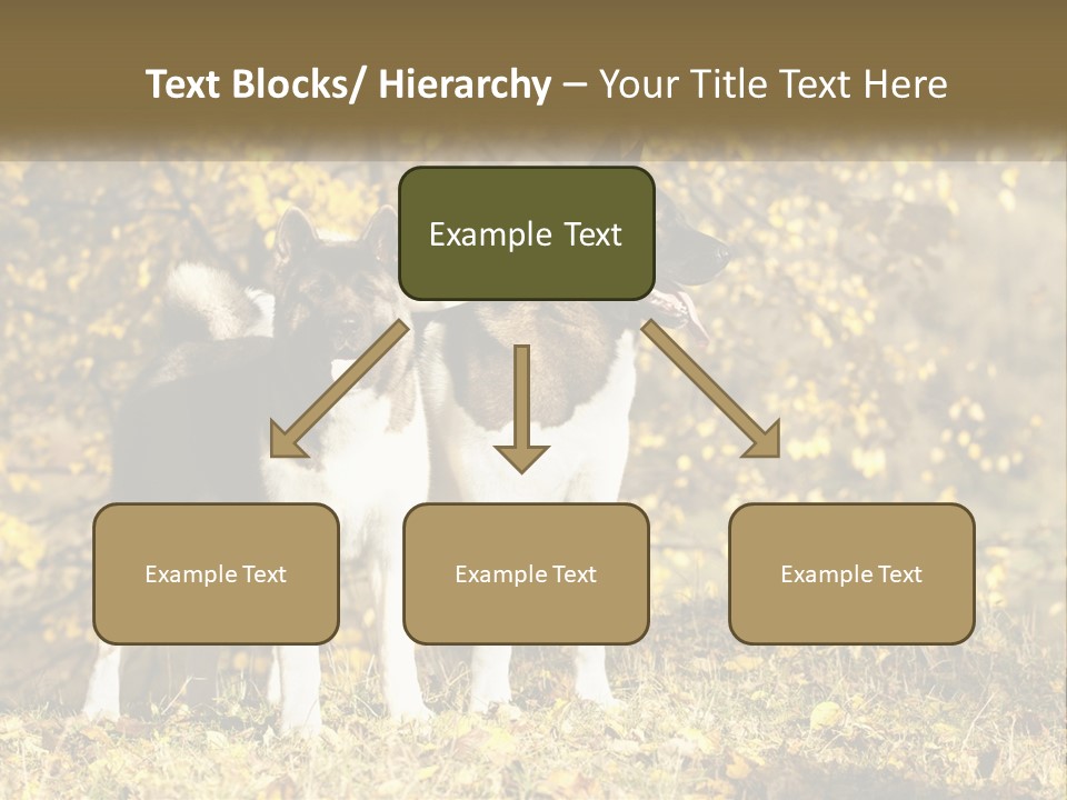 Architect Human Hand Conceptual PowerPoint Template