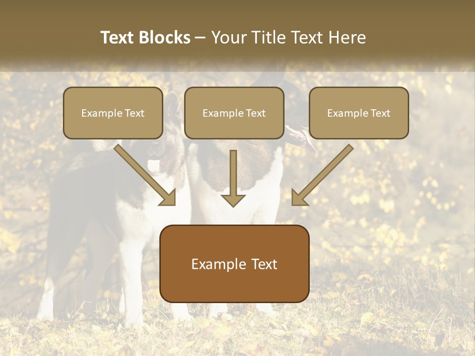 Architect Human Hand Conceptual PowerPoint Template
