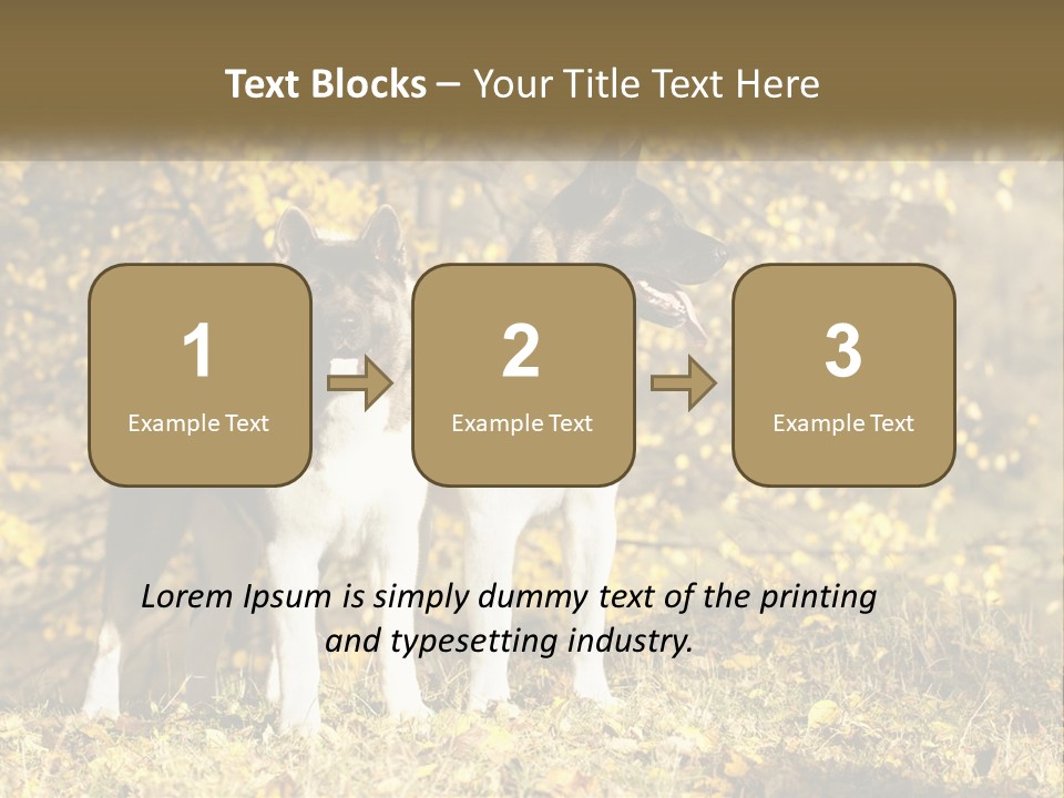 Architect Human Hand Conceptual PowerPoint Template