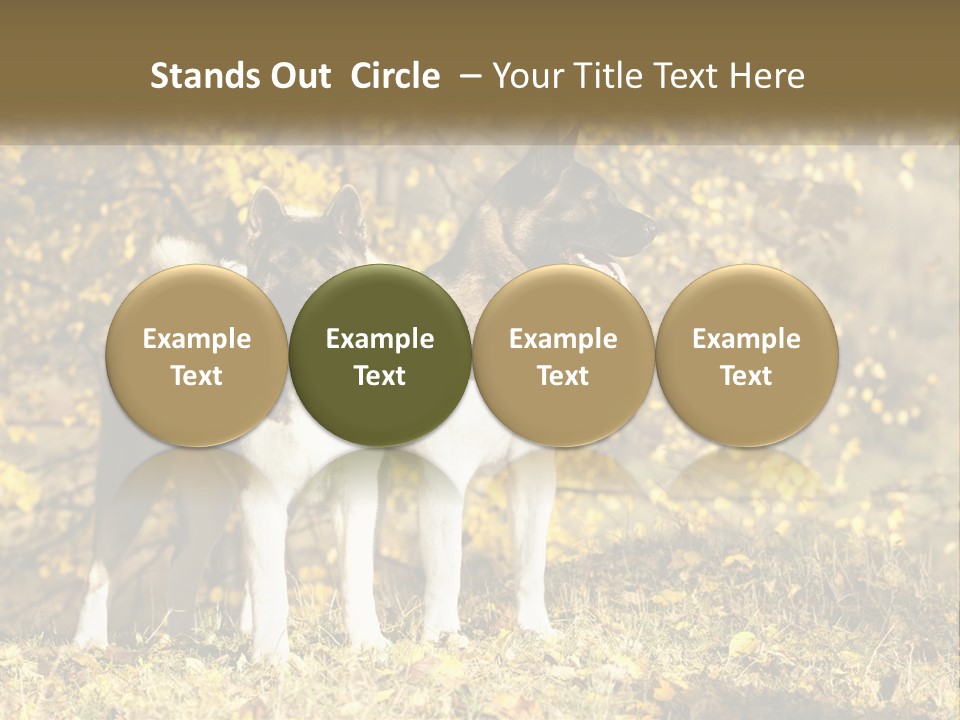 Architect Human Hand Conceptual PowerPoint Template