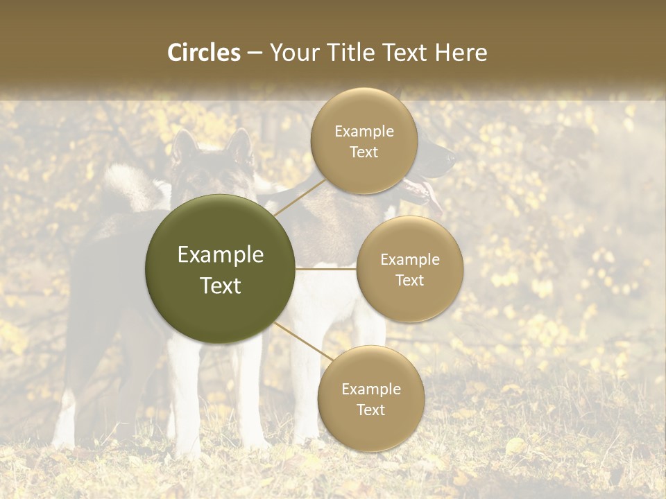 Architect Human Hand Conceptual PowerPoint Template