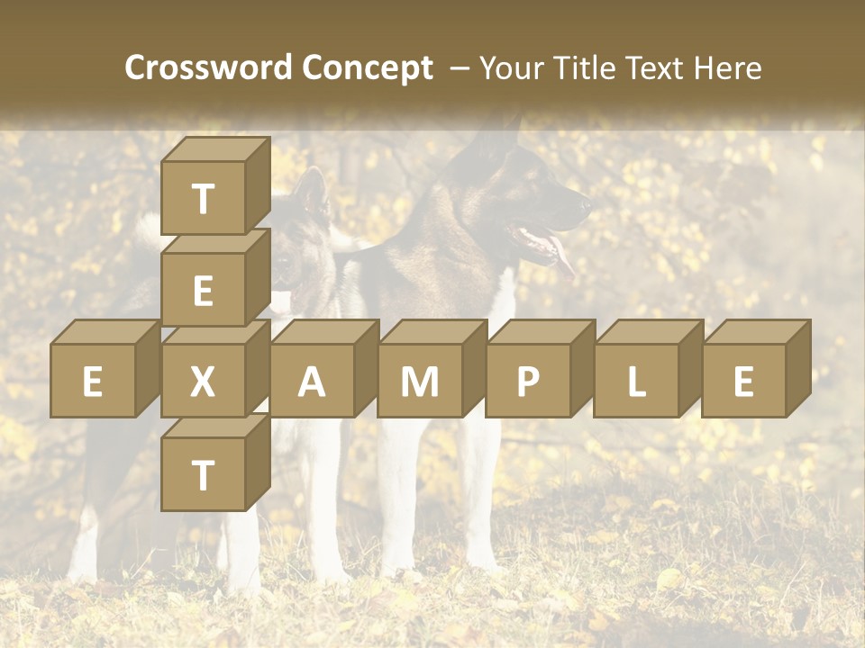 Architect Human Hand Conceptual PowerPoint Template
