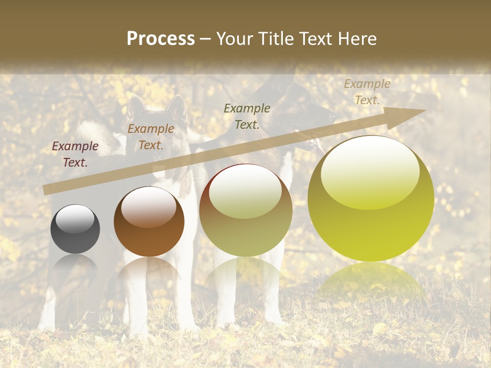 Architect Human Hand Conceptual PowerPoint Template