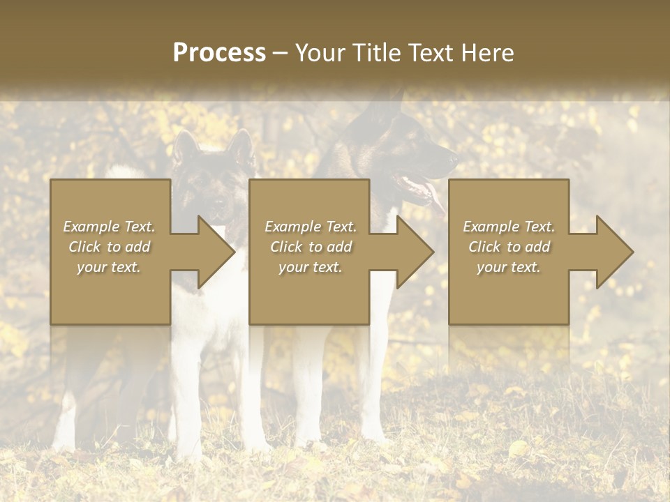 Architect Human Hand Conceptual PowerPoint Template