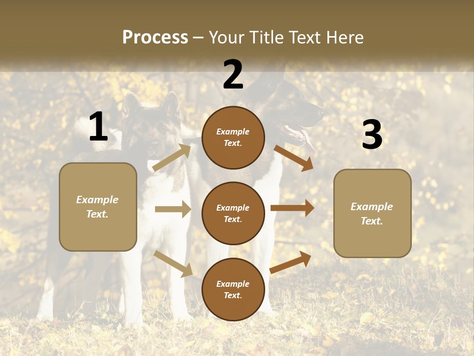 Architect Human Hand Conceptual PowerPoint Template