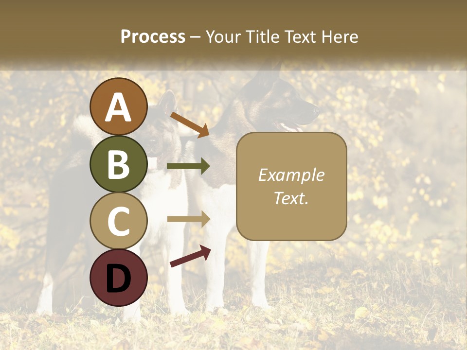 Architect Human Hand Conceptual PowerPoint Template