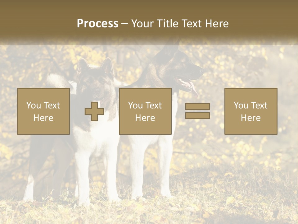 Architect Human Hand Conceptual PowerPoint Template