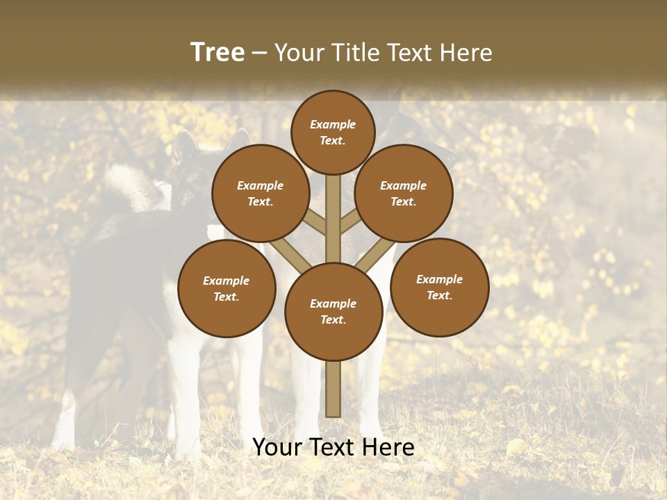 Architect Human Hand Conceptual PowerPoint Template