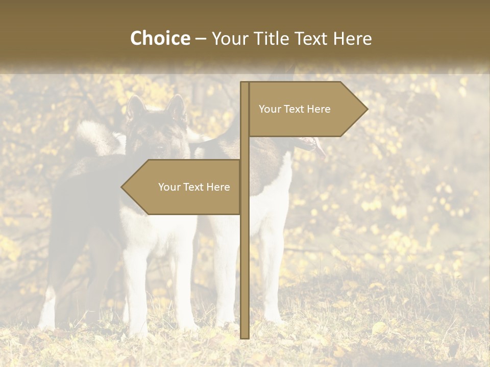 Architect Human Hand Conceptual PowerPoint Template