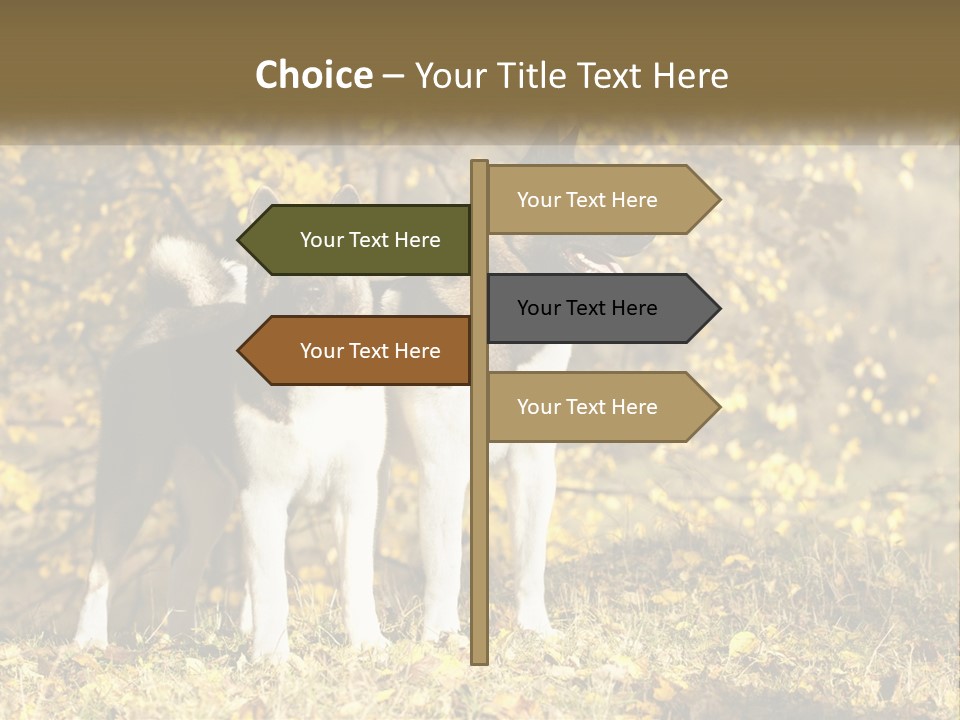Architect Human Hand Conceptual PowerPoint Template