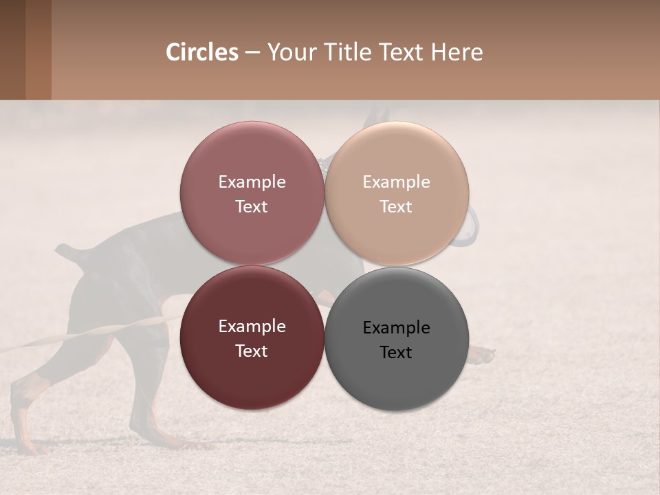 Ownership House Leaf PowerPoint Template