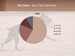 Ownership House Leaf PowerPoint Template