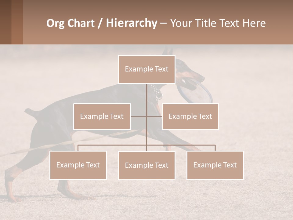 Ownership House Leaf PowerPoint Template