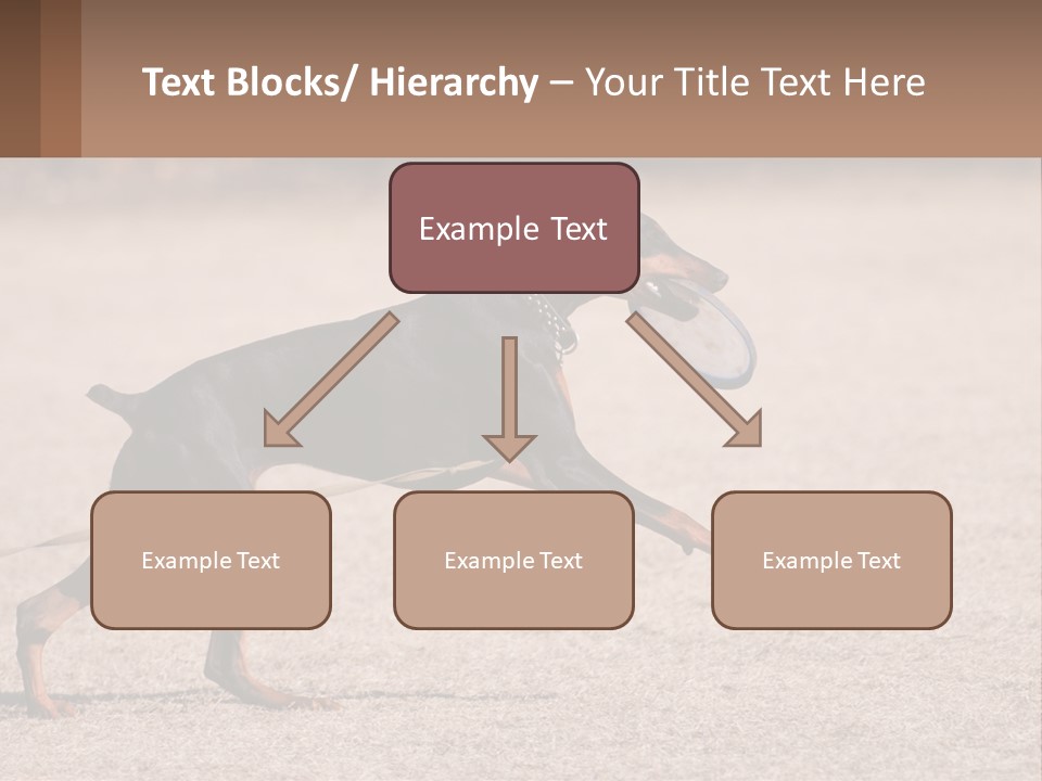 Ownership House Leaf PowerPoint Template