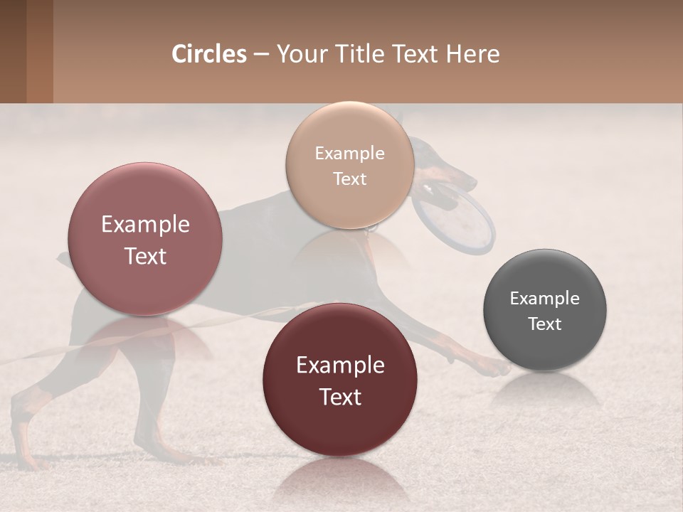 Ownership House Leaf PowerPoint Template