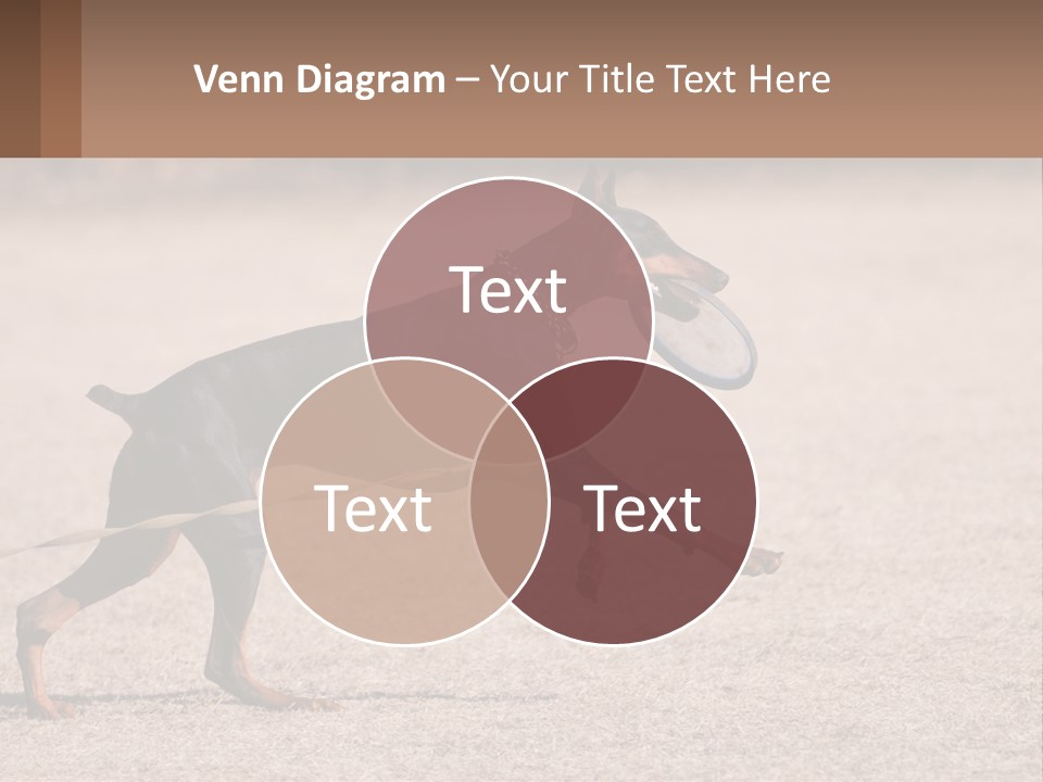 Ownership House Leaf PowerPoint Template