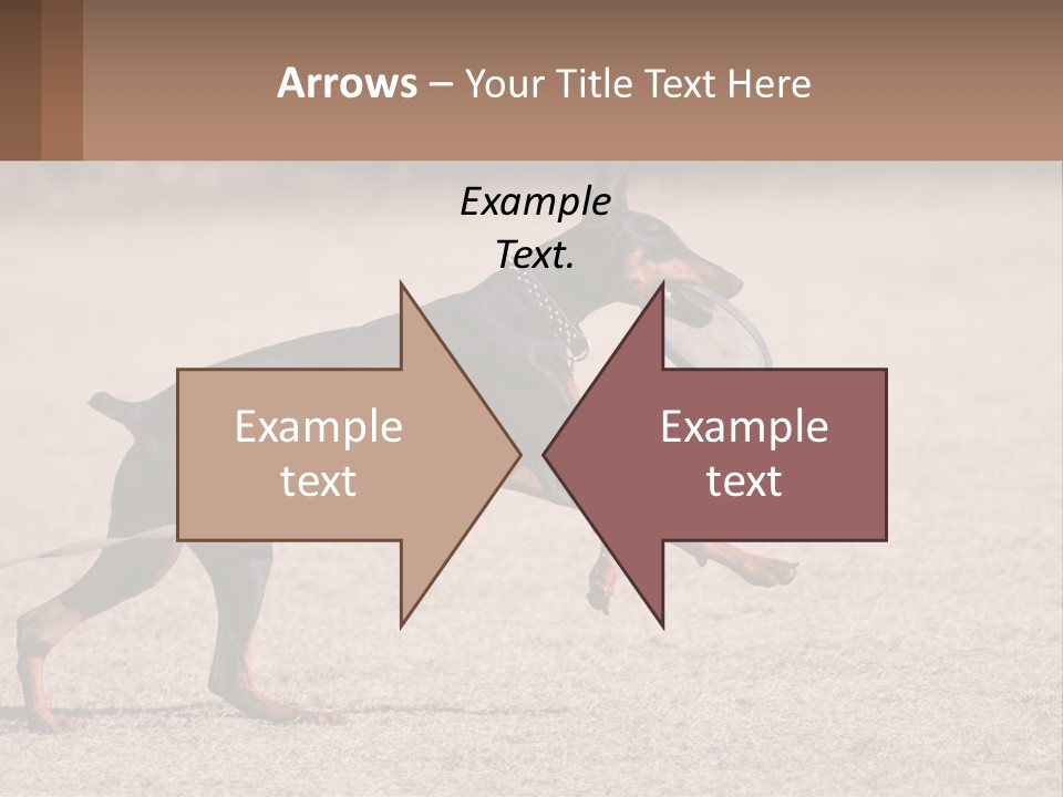 Ownership House Leaf PowerPoint Template