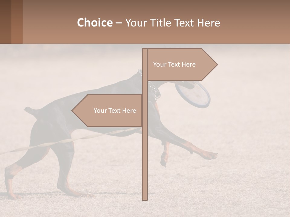 Ownership House Leaf PowerPoint Template
