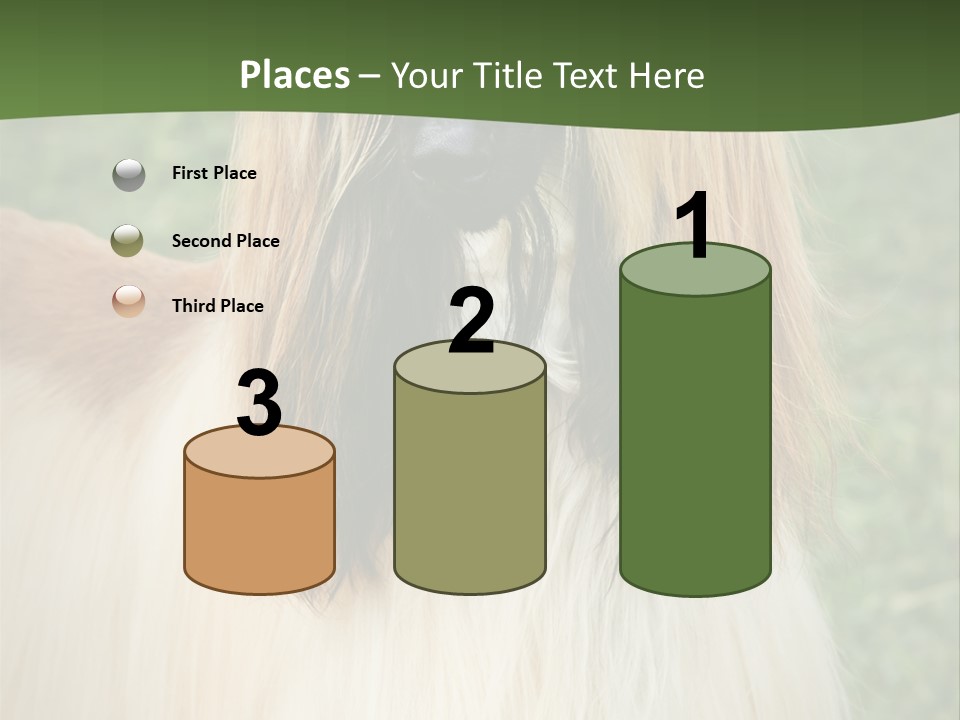 Grass Man Park PowerPoint Template