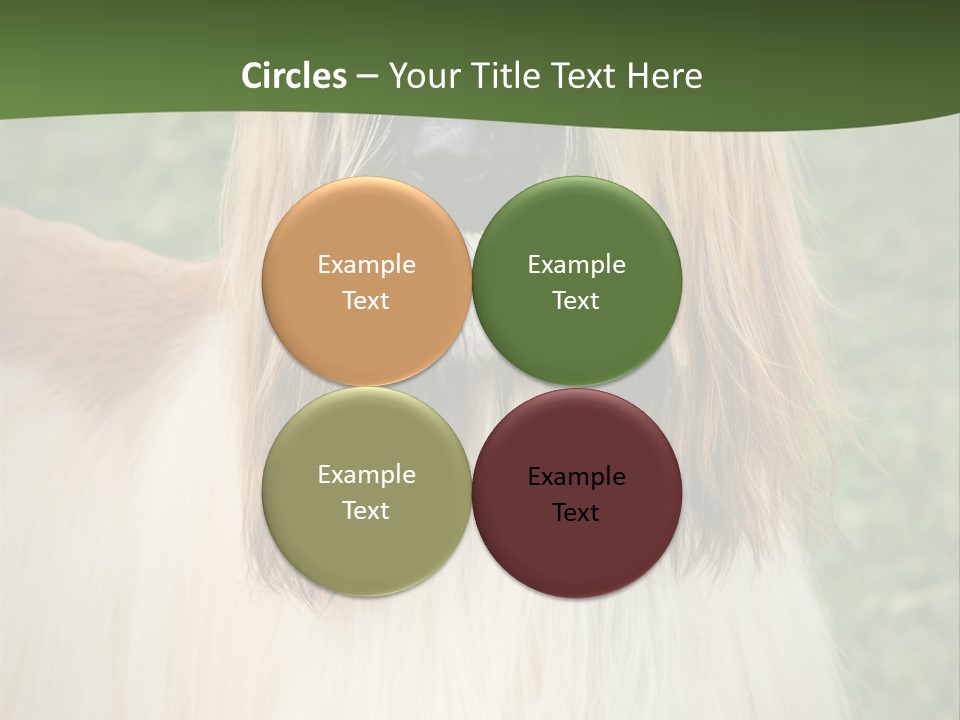 Grass Man Park PowerPoint Template