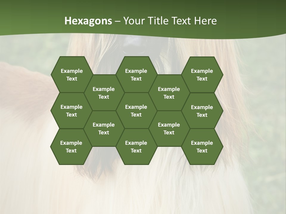 Grass Man Park PowerPoint Template