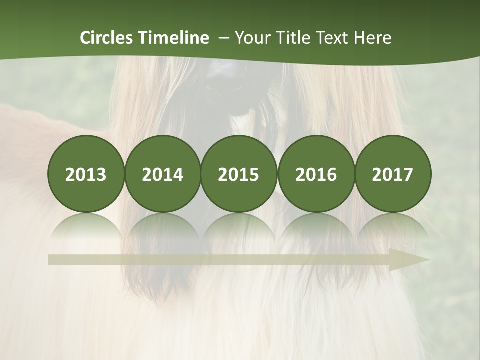 Grass Man Park PowerPoint Template