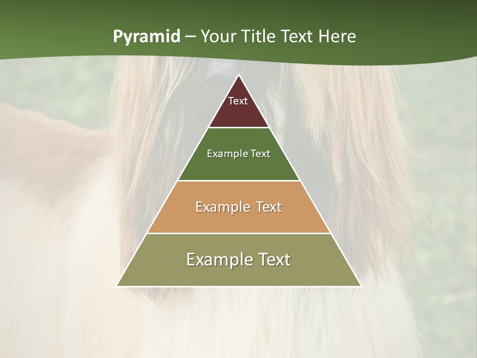 Grass Man Park PowerPoint Template