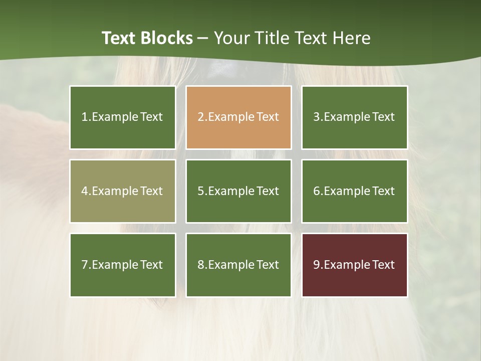 Grass Man Park PowerPoint Template