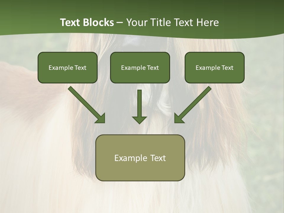 Grass Man Park PowerPoint Template