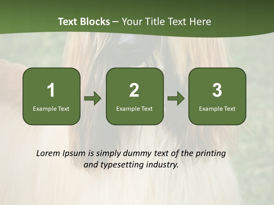 Grass Man Park PowerPoint Template